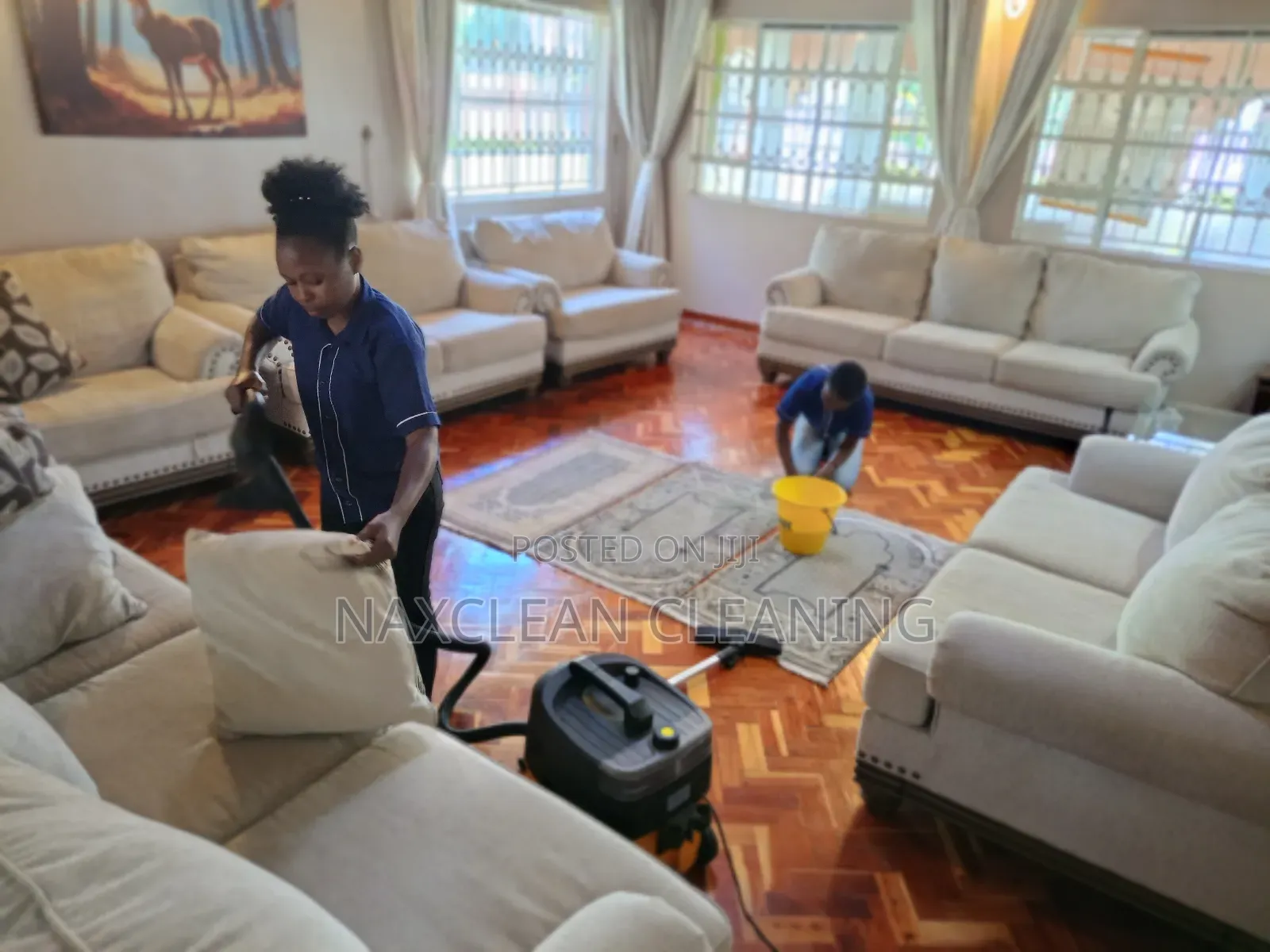 Seats Steam Cleaning Services