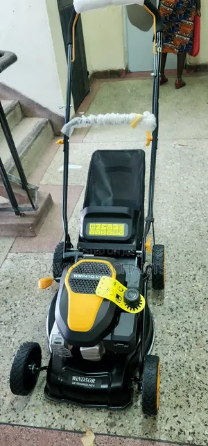 Windsor Lawnmower