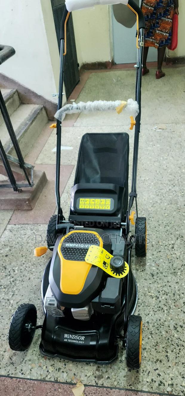 Windsor Lawnmower - main view