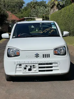Suzuki Alto 2018 Pearl