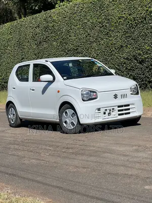 Suzuki Alto 2018 Pearl