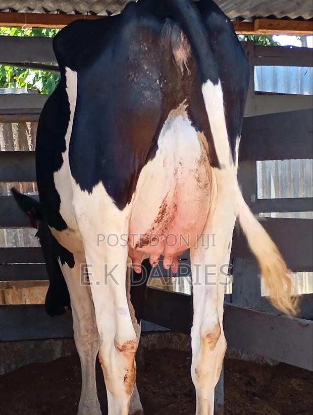 High Yielders - main view