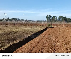 1/4 Plots Ilula Ideal for Residential.