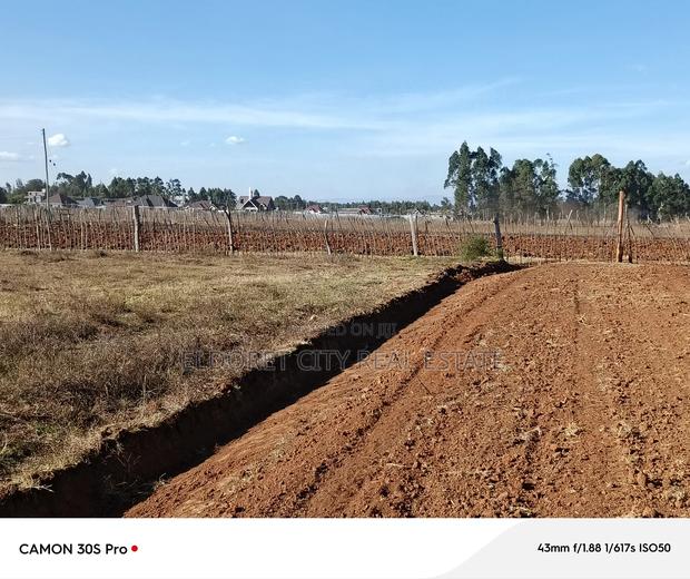1/4 Plots Ilula Ideal for Residential.
