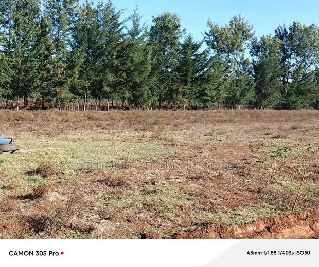 1/4 Plots Ilula Ideal for Residential. - thumbnail 4