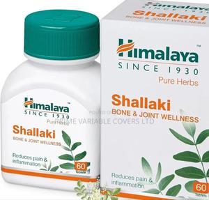 Himalaya Shallaki: Nature’S Joint Healer - thumbnail 2