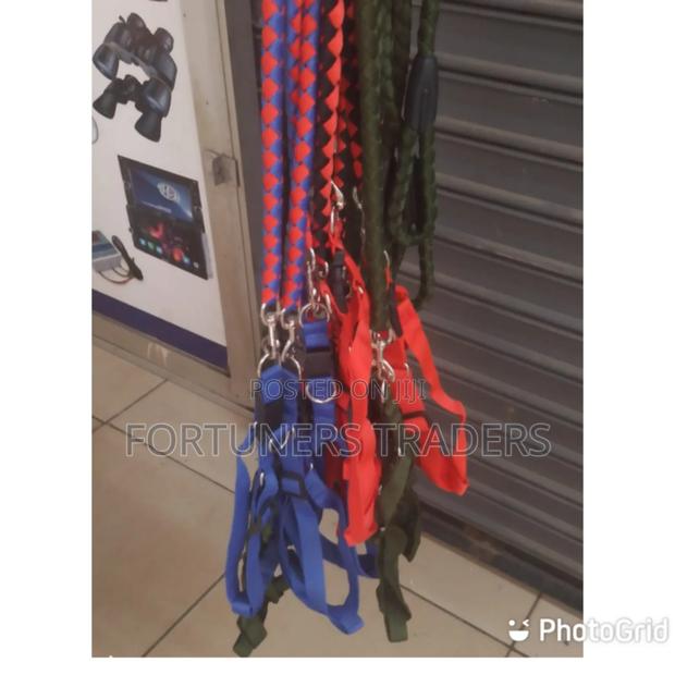 Dog Leash 