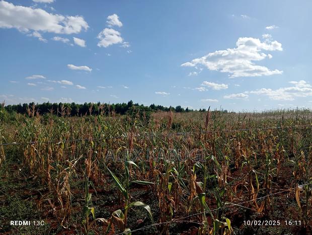 5 Acres Land for Sale Maragua Pioneer