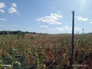 5 Acres Land for Sale Maragua Pioneer