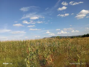 5 Acres Land for Sale Maragua Pioneer