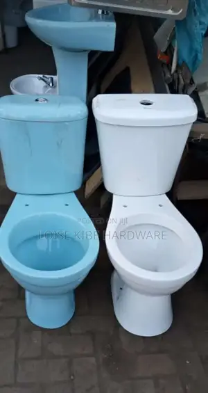 Full Seat WC Toilet Blue Colour