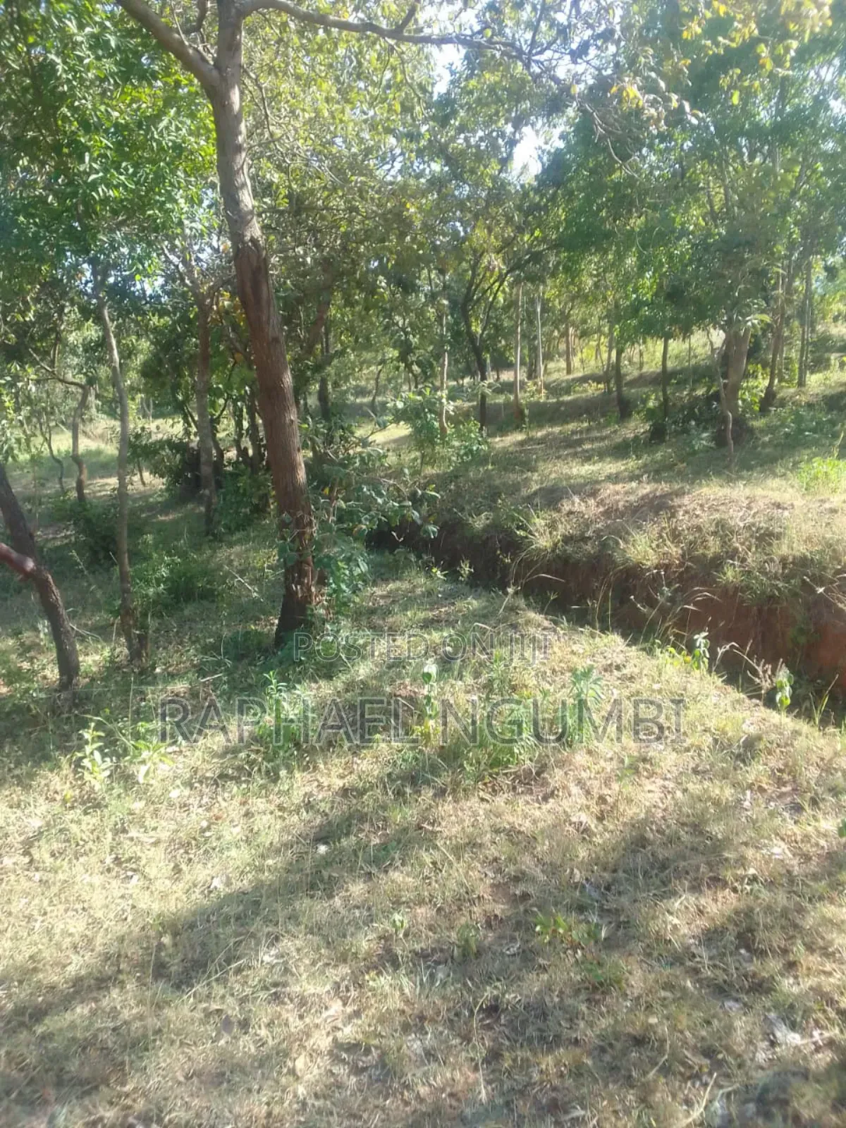 3 Prime Acres at Masii Machakos