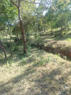 3 Prime Acres at Masii Machakos