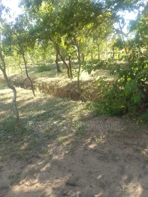 3 Prime Acres at Masii Machakos