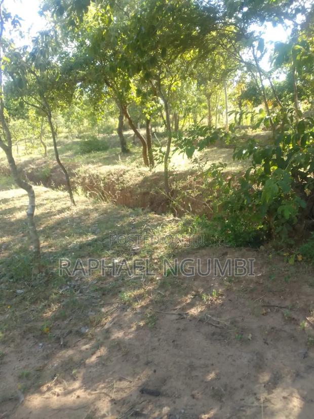3 Prime Acres at Masii Machakos - thumbnail 4