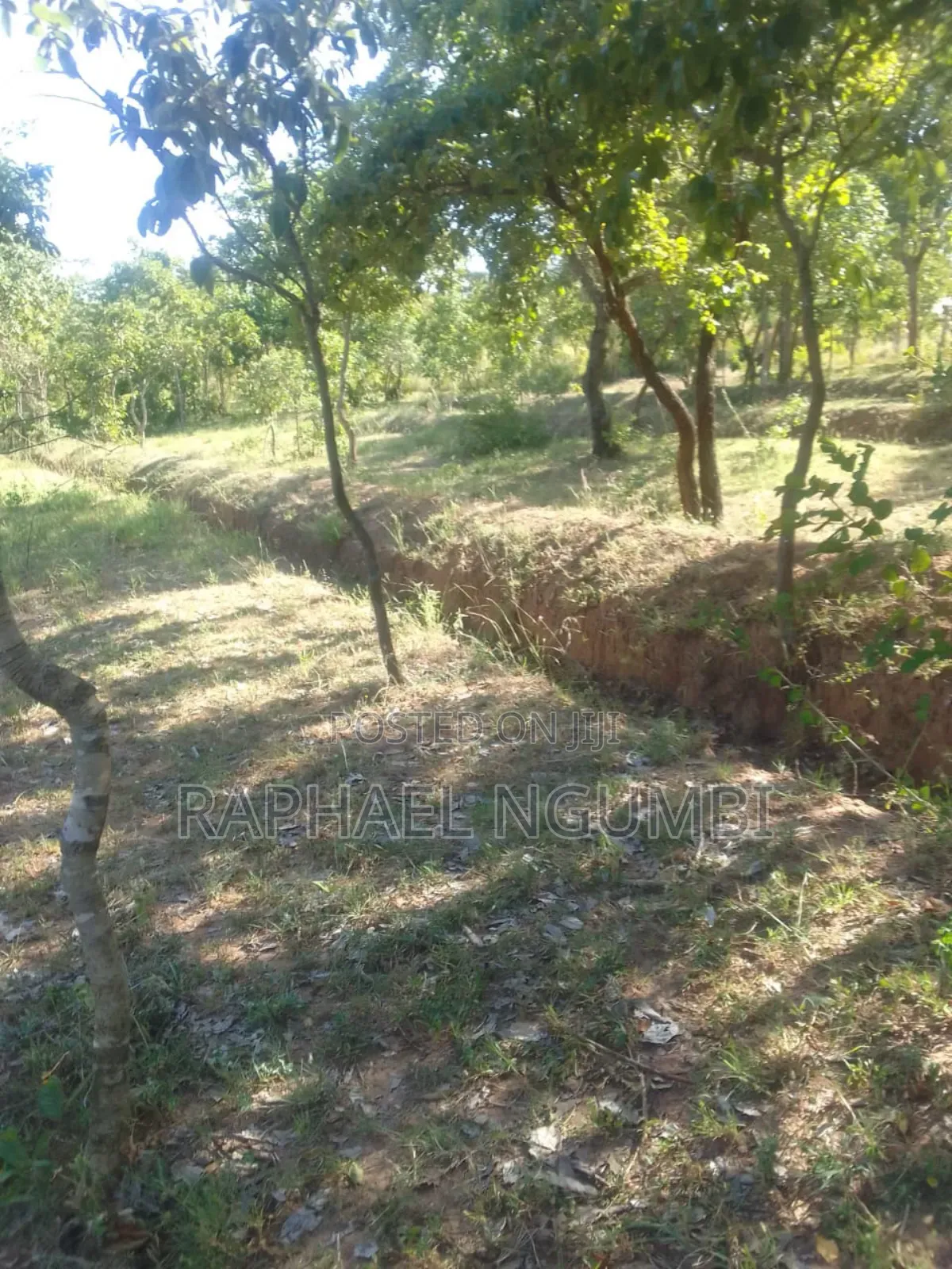 3 Prime Acres at Masii Machakos