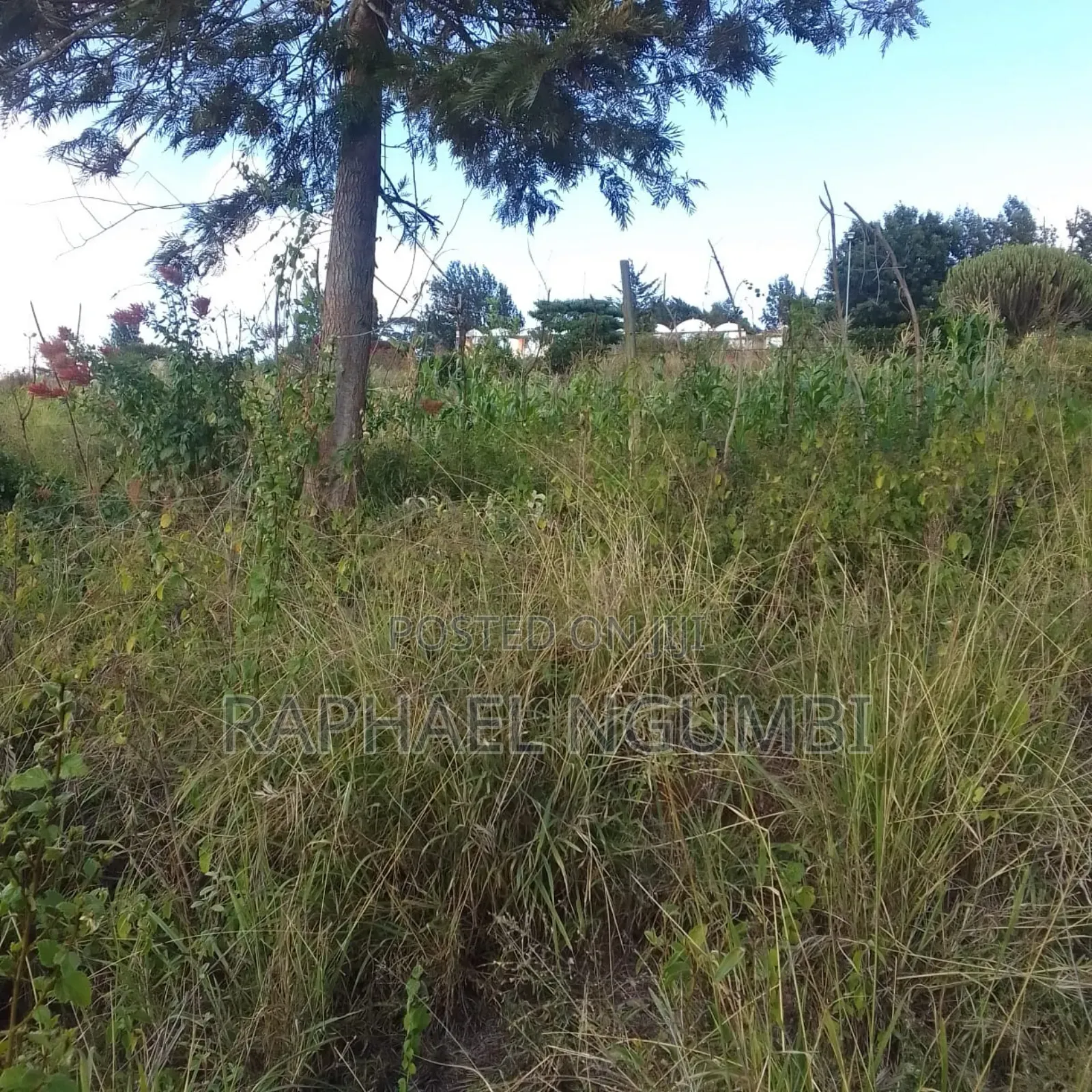 3.5 Acres at Masii Makutano Ma Mwala
