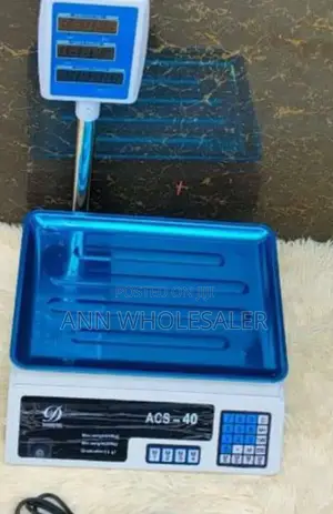 40 KGS Digital Computing Weighing Scale Arm W40S