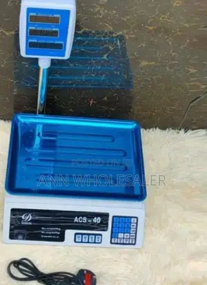 Digital Computing Weighing Scale With Arm W40S