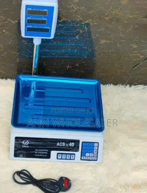 40 KGS Digital Weighing Scale With Arm W40s