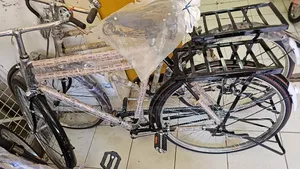 Raja 26" Adult Bicycle