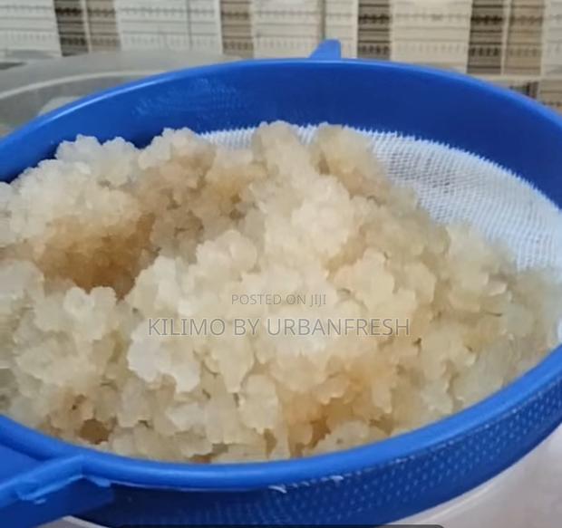 Water Keffir ( Tibicos ) 1g. - main view