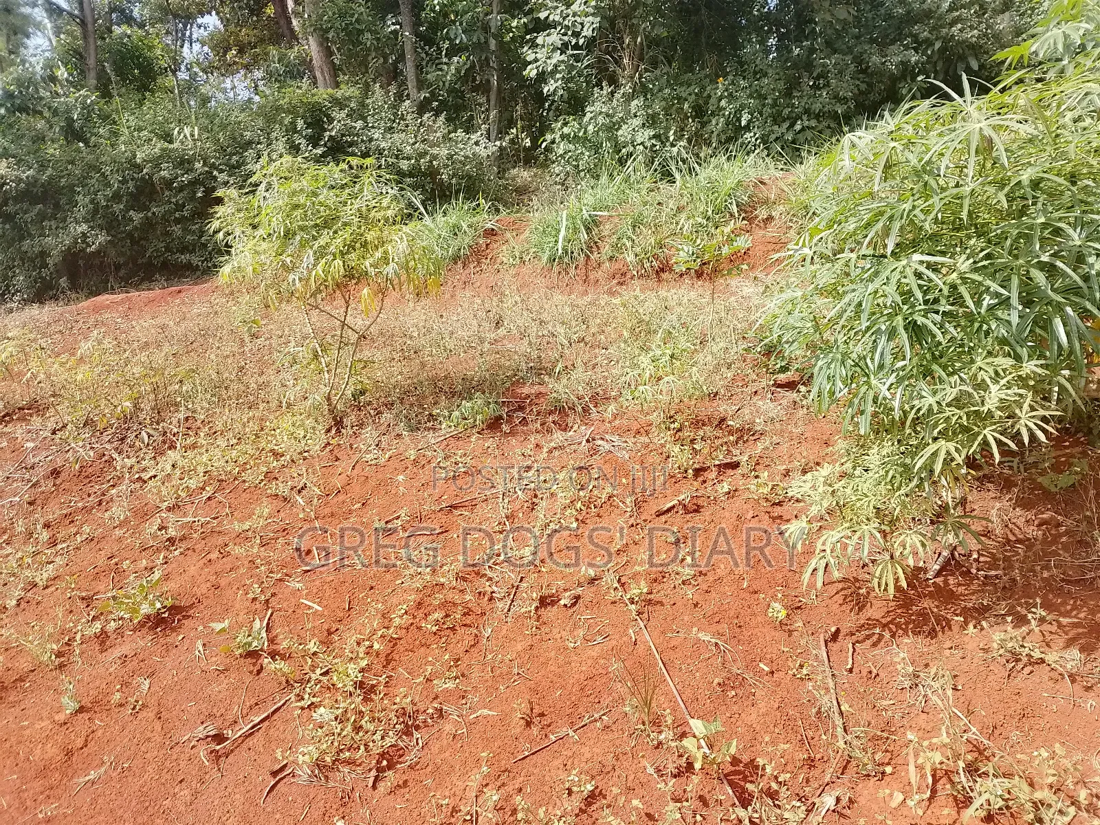 Land for Sale