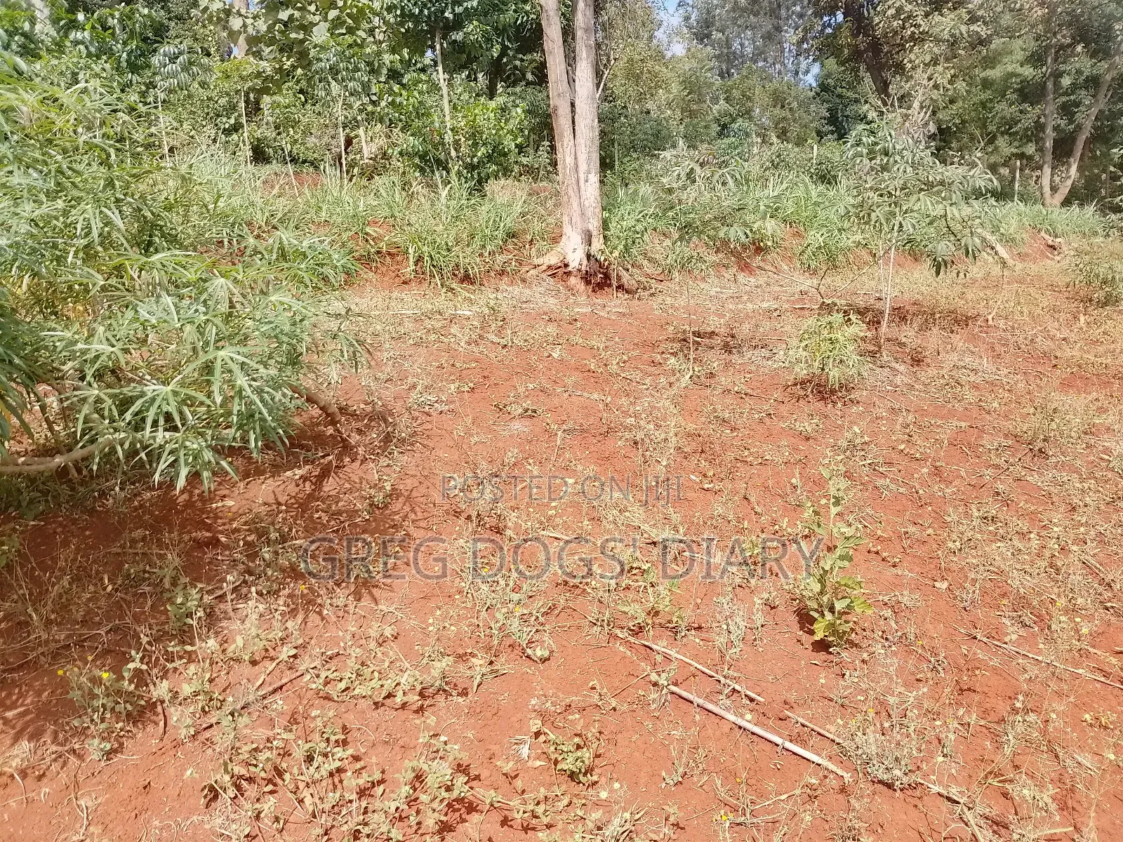 Land for Sale