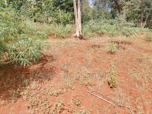 Land for Sale - thumbnail 2