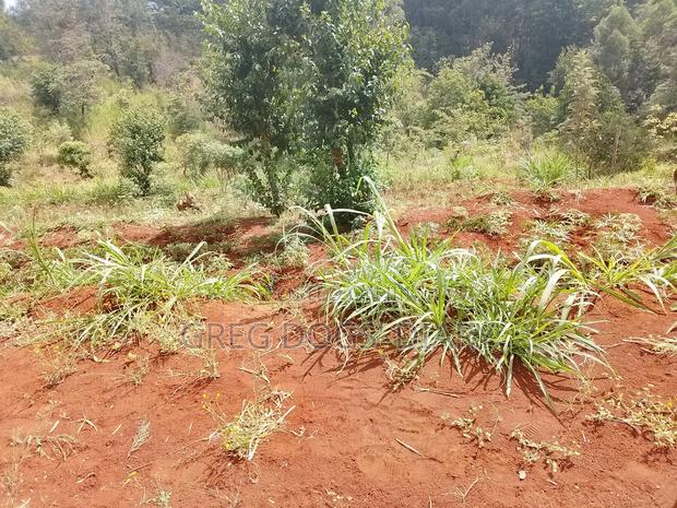 Land for Sale - thumbnail 3