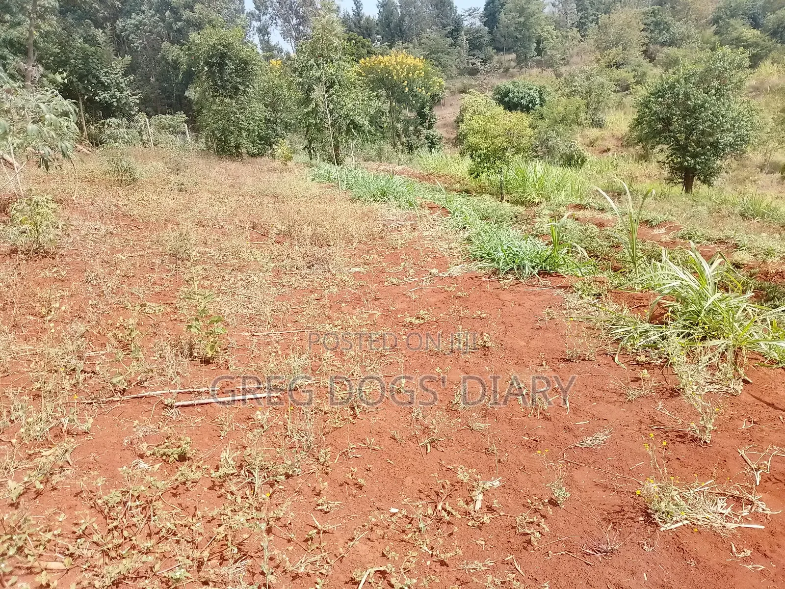 Land for Sale