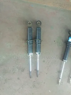Toyota Wish Back Shocks