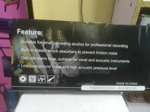Professional Condenser Microphone