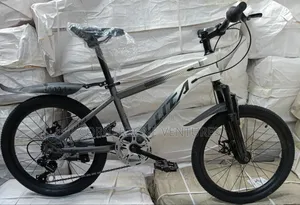 Size 20 Bike, Mountain Bike Size 20