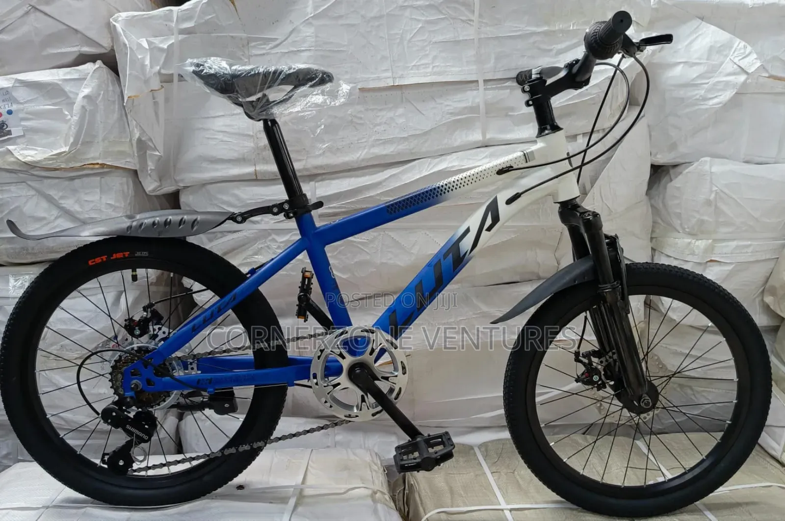 Size 20 Bike, Mountain Bike Size 20