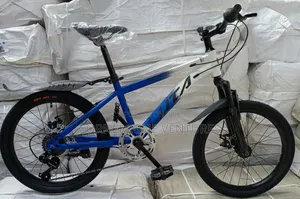 Size 20 Bike, Mountain Bike Size 20