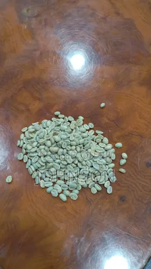 Coffee Arabica Both Green and Roasted