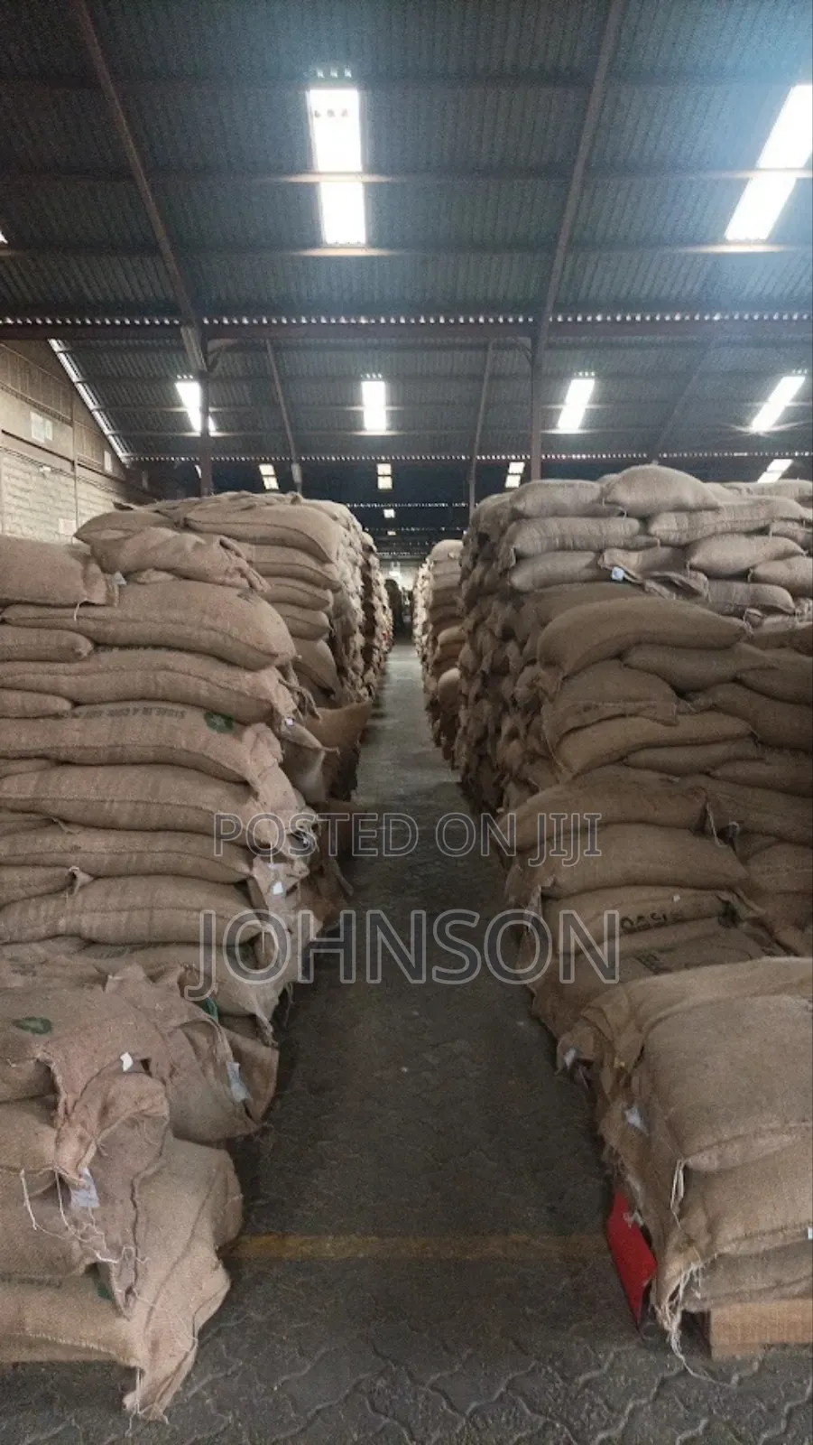 Coffee Arabica Both Green and Roasted