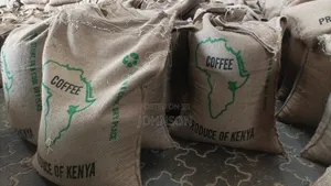 Coffee Arabica Both Green and Roasted