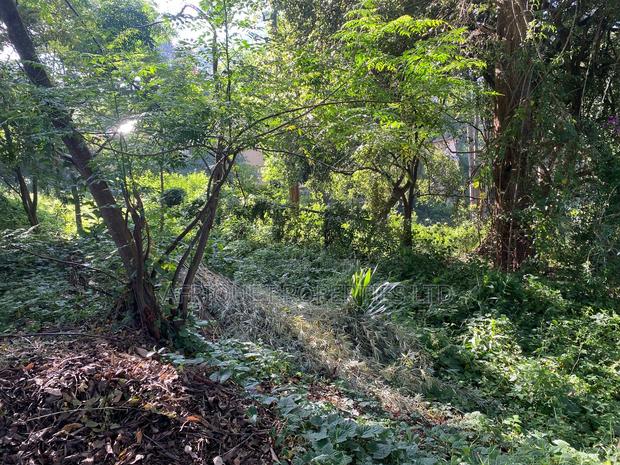 Muthaiga 4.3 Acres Land for Sale - thumbnail 3
