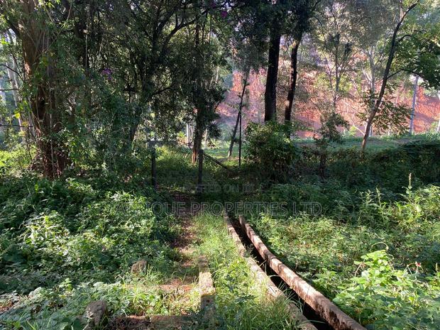 Muthaiga 4.3 Acres Land for Sale - thumbnail 4