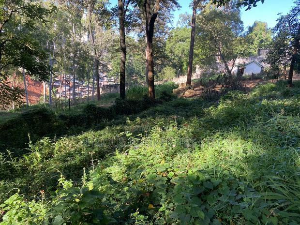 Muthaiga 4.3 Acres Land for Sale - thumbnail 5