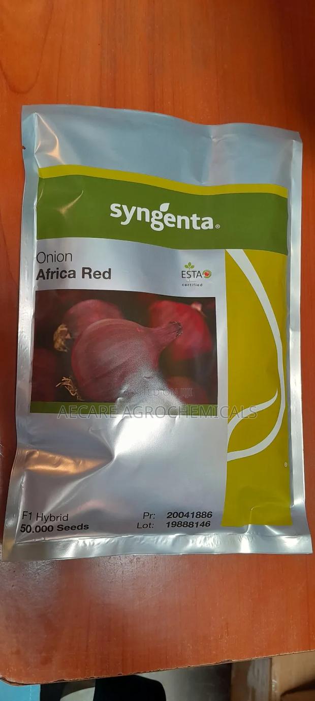 Hybrid Onion African Red Seeds F1 50,000 Seeds