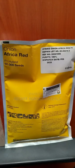 Hybrid Onion African Red Seeds F1 50,000 Seeds