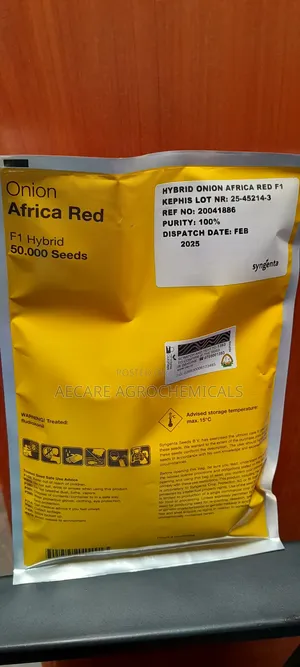 Hybrid Onion African Red Seeds F1 50,000 Seeds