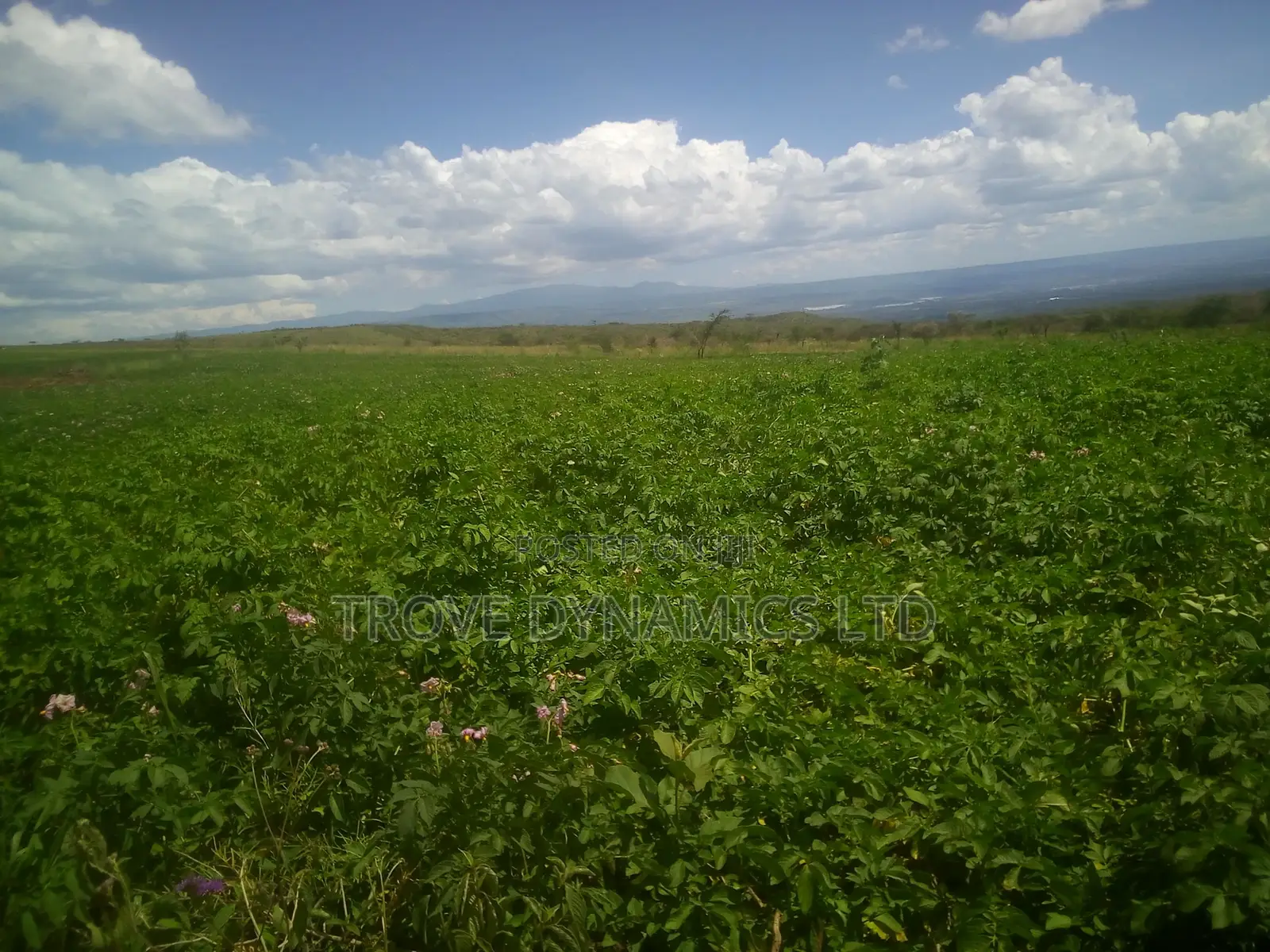 5 Acre Block at Kikopey