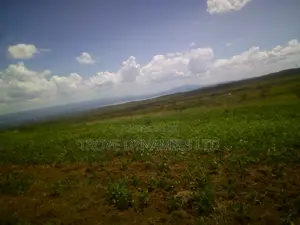 5 Acre Block at Kikopey