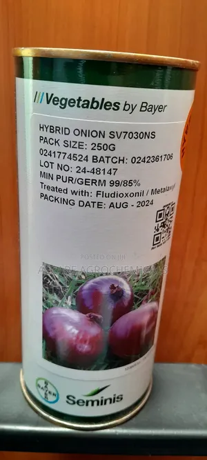 Hyrbid Onion Sv7030ns 250G