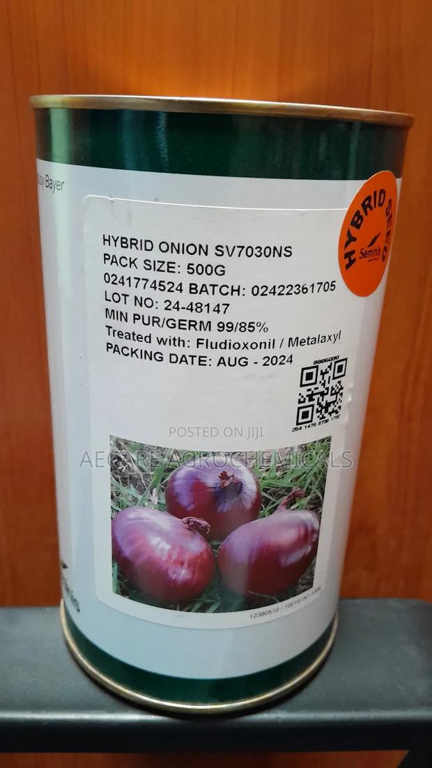 Hybrid Onion Sv7030ns 500 Grams - main view