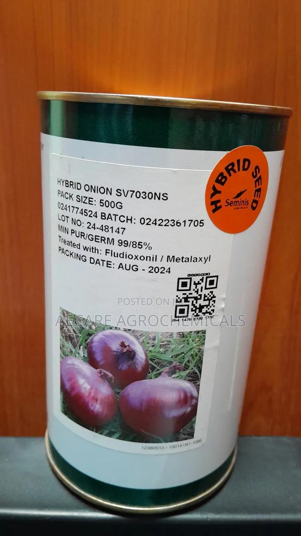 Hybrid Onion Sv7030ns 500 Grams - thumbnail 2